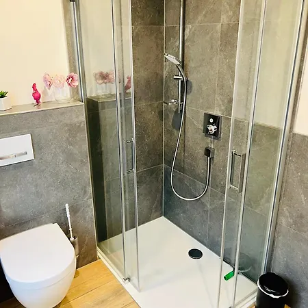 Apartment Moselromatik *